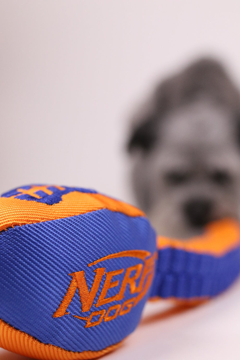Nerf Dog Vortex Chain Tug resistente al agua para jugar dentro y fuera