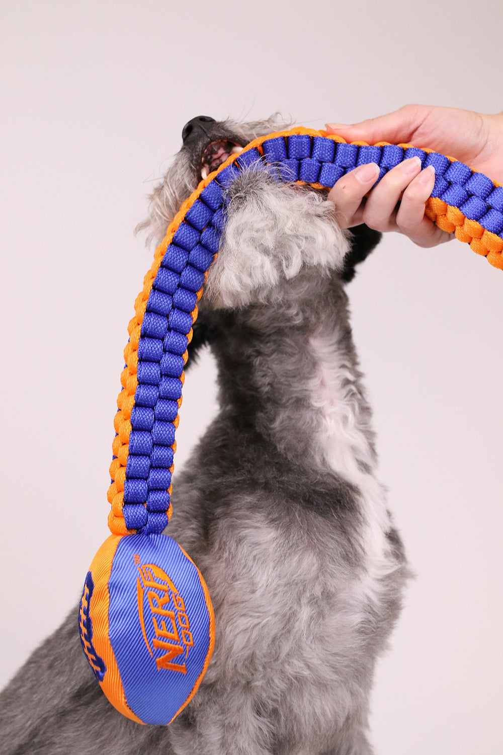 Nerf Dog Vortex Chain Tug seguro tras pruebas para horas de juego familiar