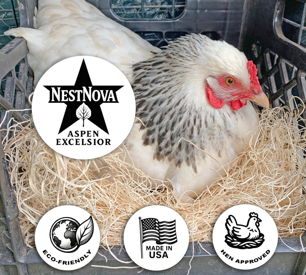 NestNova Aspen Excelsior arreglo floral: textura suave añade volumen rústico.