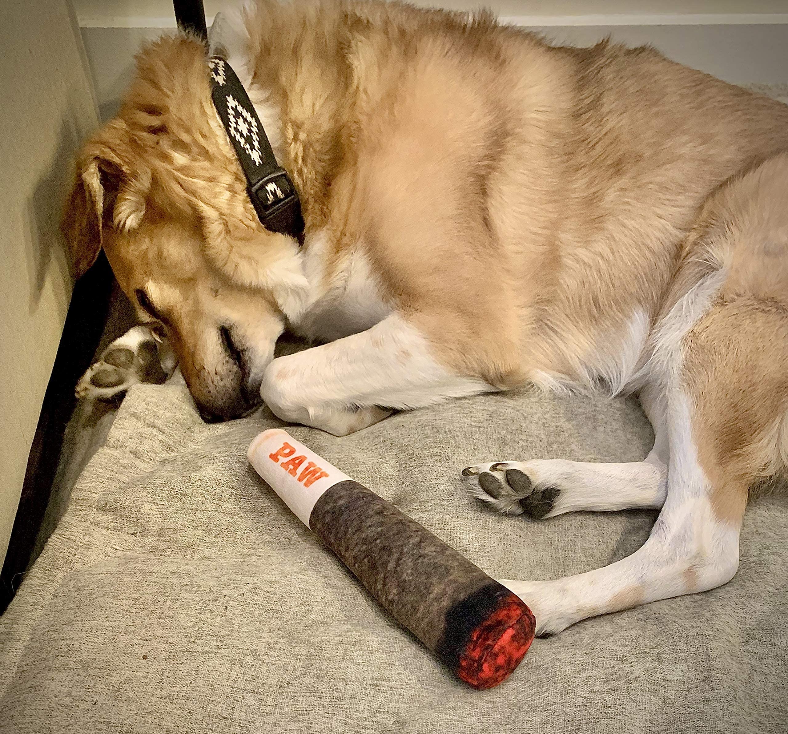 Nestpark Doggy Doobie, compañero de juegos diarios, ideal para ritos de juego diario.