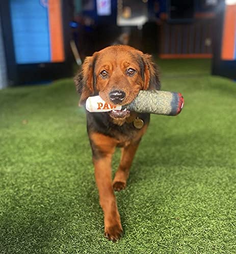 Nestpark Doggy Doobie, regalo ideal para cumpleaños de perros, fomenta la interacción entre mascota y dueño.