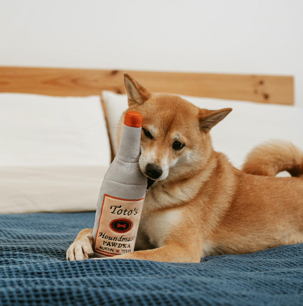 Nestpark Toto-regalo-divertido-perro, regalo ideal para fiestas y cumpleaños.