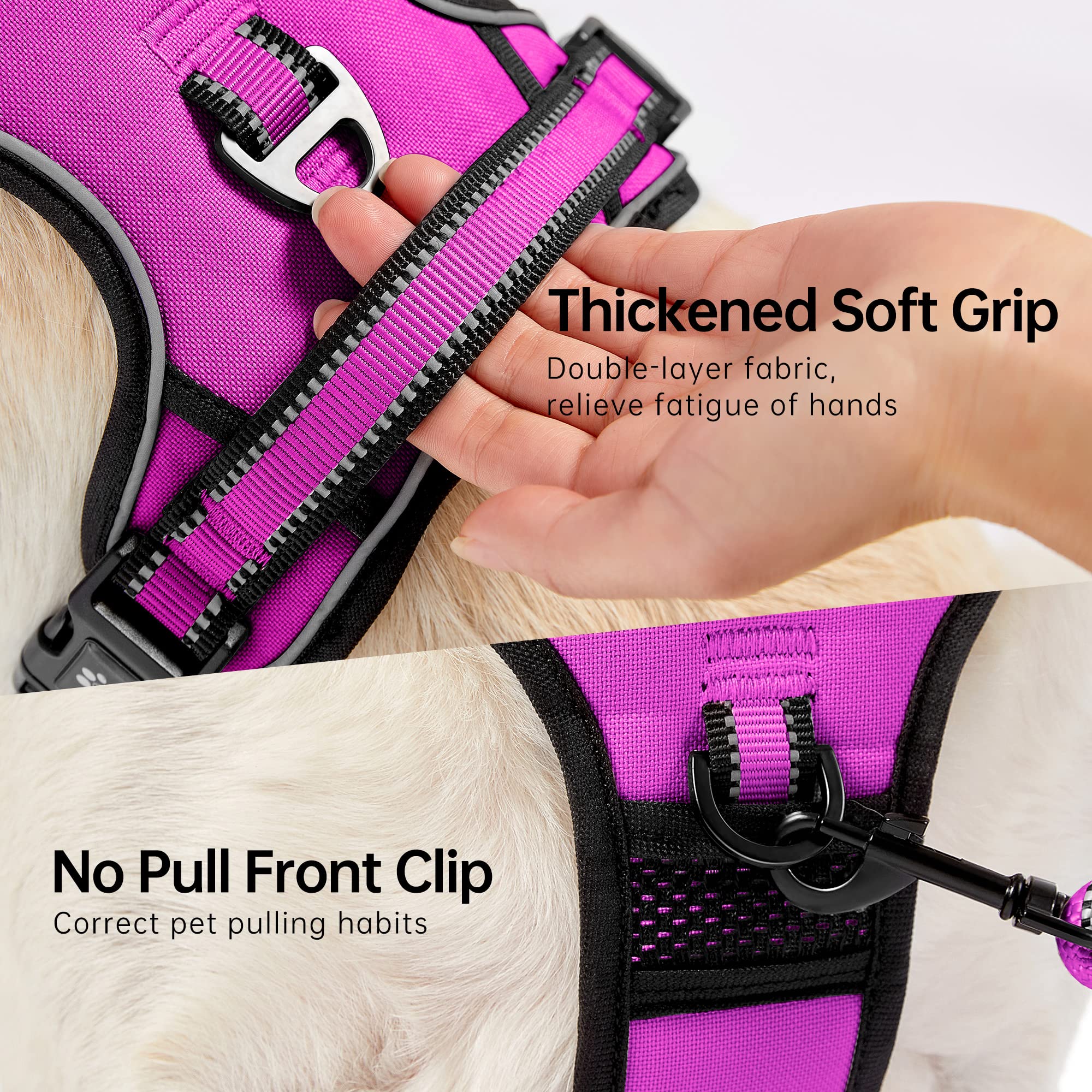 Arnés acolchado NESTROAD con clips delanteros y traseros para control suave y eficaz.