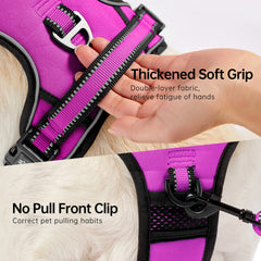 Arnés acolchado NESTROAD con clips delanteros y traseros para control suave y eficaz.