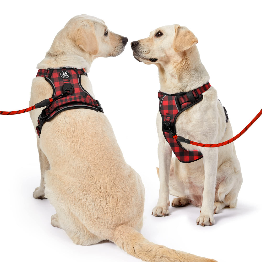 NESTROAD diseño con hebillas frontal y trasero para entrenamiento y paseo.