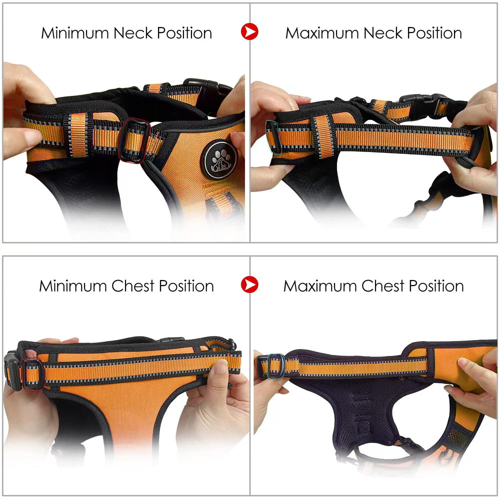 Variedad de tallas Nestroad para perros pequeños y medianos