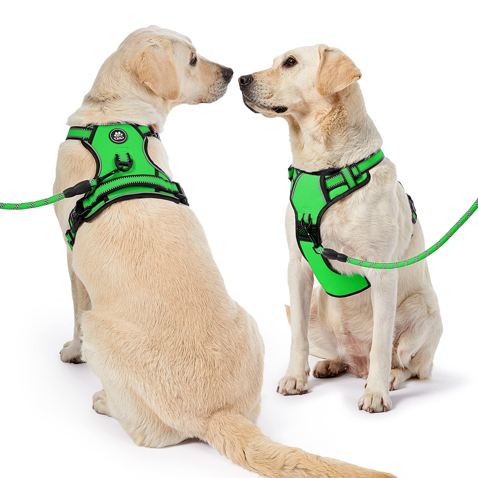 NESTROAD varias tallas: ajustable para perros grandes y pequeños.
