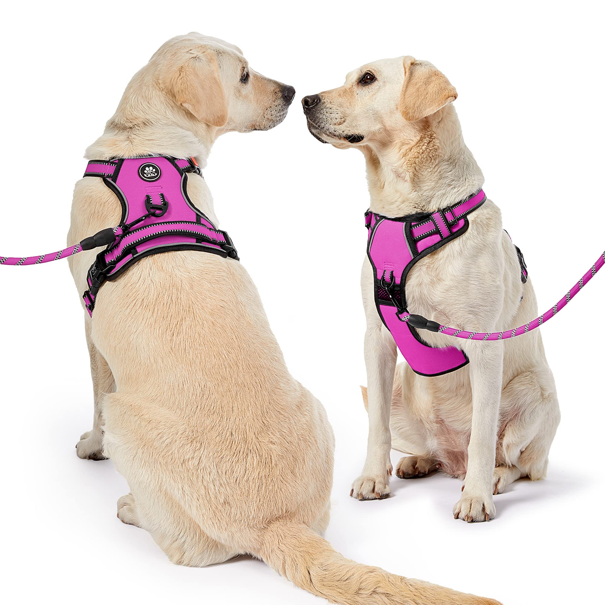 Talla grande adaptable, ideal para perros de mayor tamaño y complexión robusta.