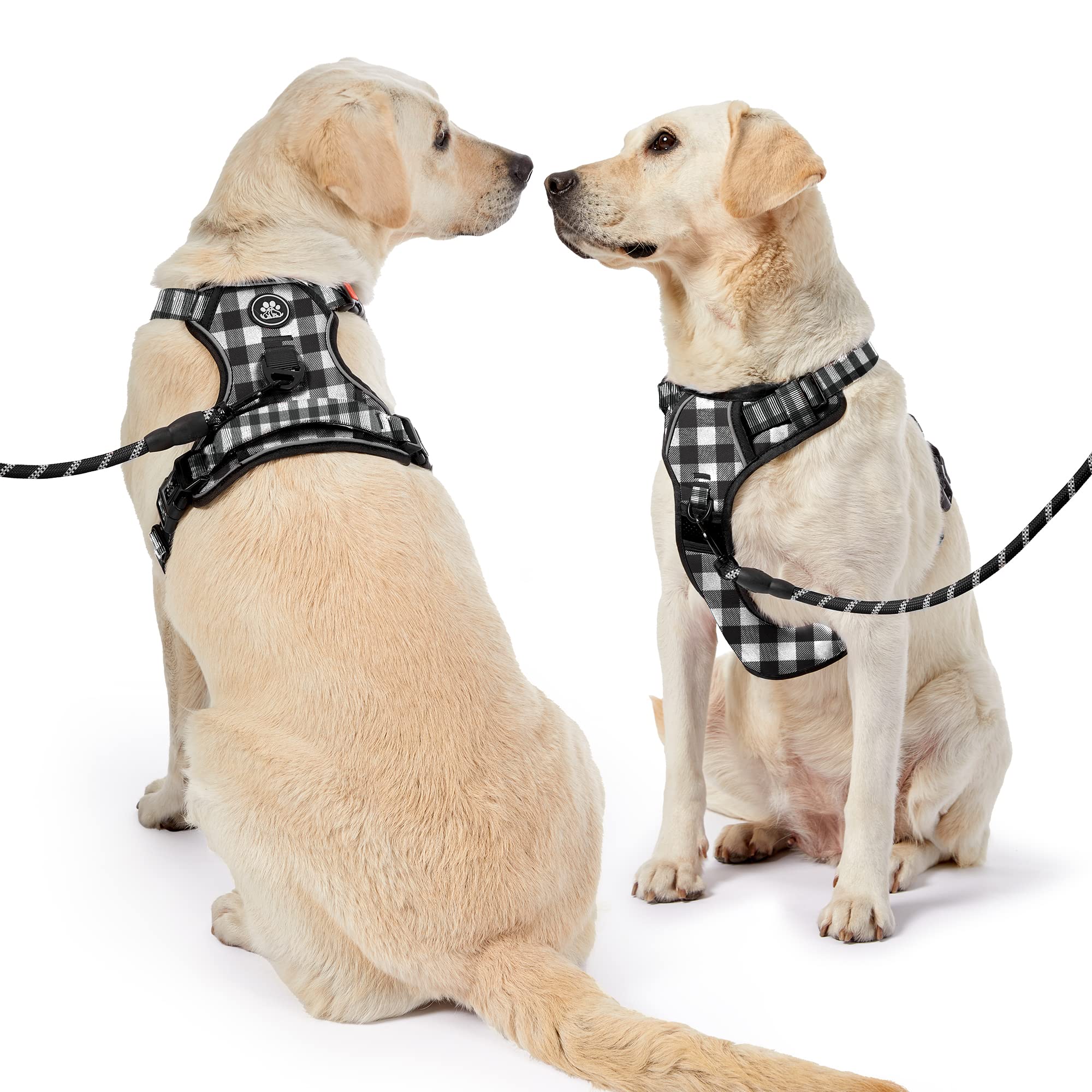 NestROAD arnés disponible en tallas grandes para perros grandes.