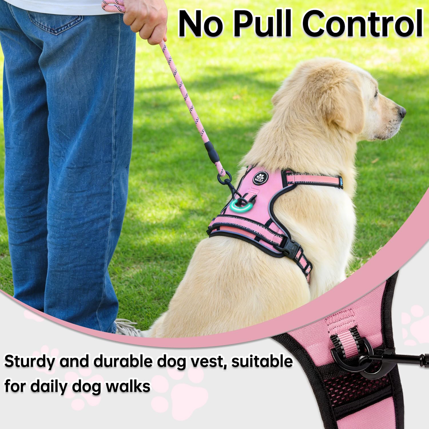 NESTROAD Correa incluida ideal para paseos tranquilos y control suave
