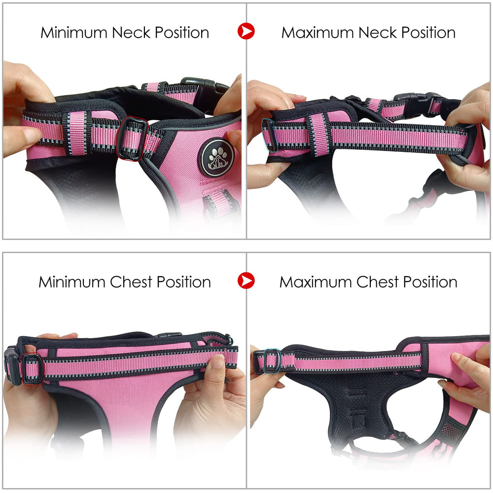 NESTROAD diseño con clips frontal y trasero para entrenamiento y paseo diario.
