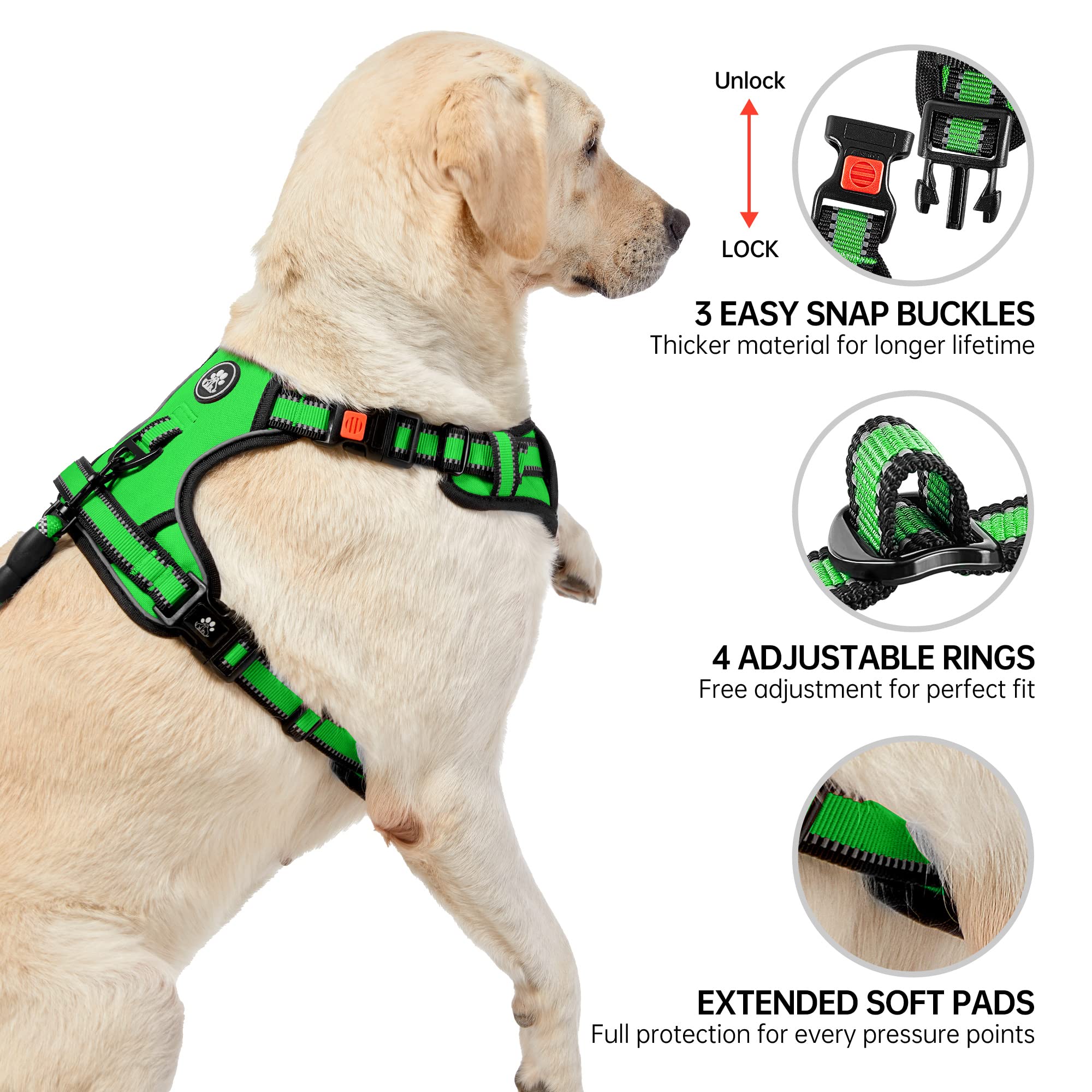 Arnés NESTROAD: hebillas frontal y trasera para control y paseo diario.