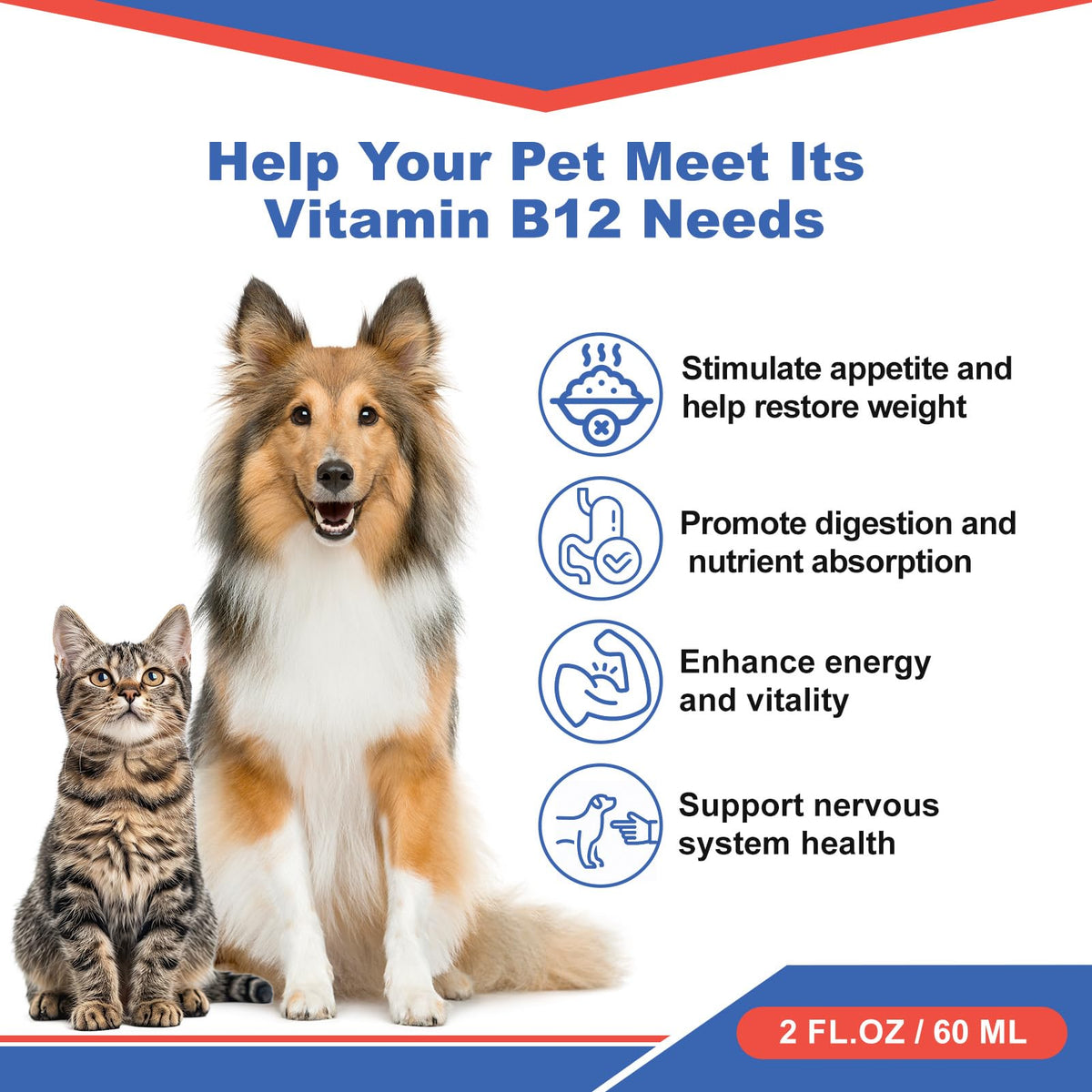 Netrca B12 líquido para gatos: aumenta la energía para jugar.