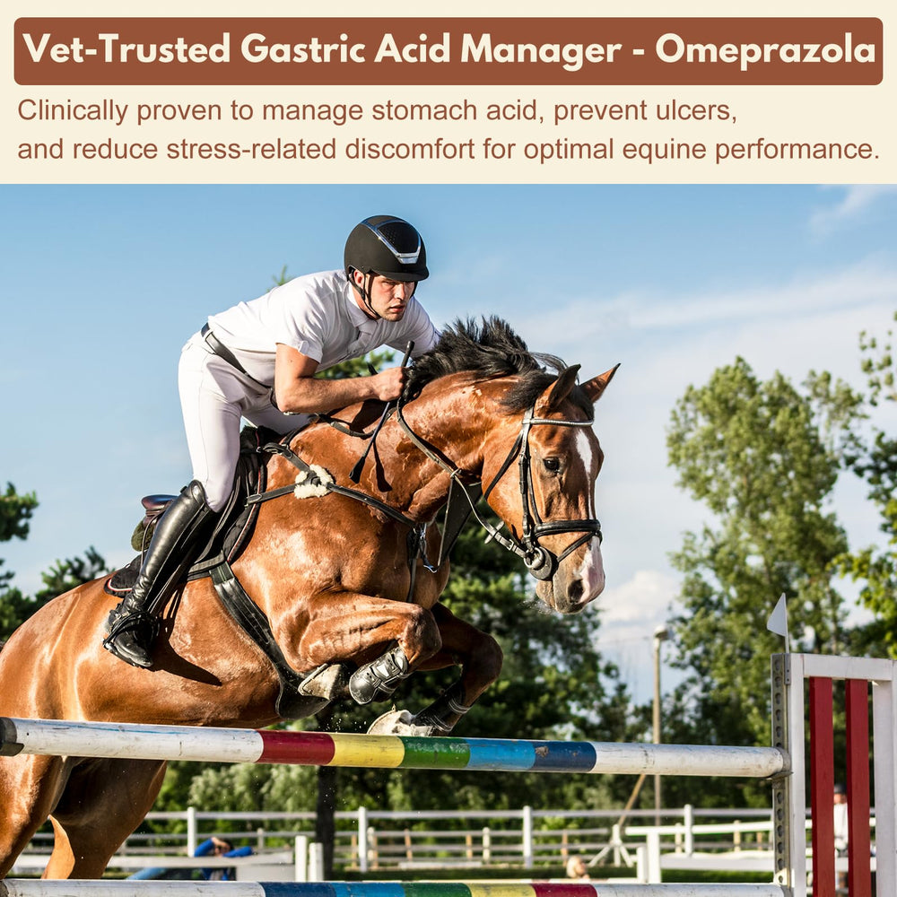 Netrca Omeprazol pasta oral, dosis precisa para uso diario seguro.