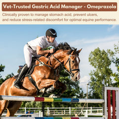 Netrca Omeprazol pasta oral, dosis precisa para uso diario seguro.