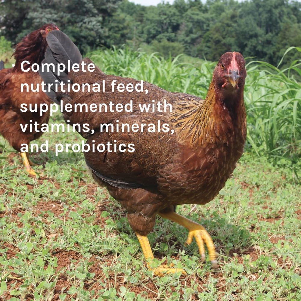 New Country Organics: probióticos y kelp para digestión saludable, 50lb.