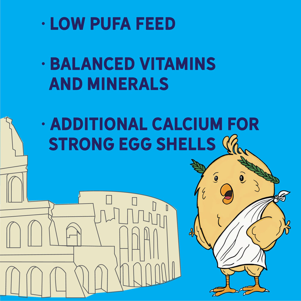 New Country Organics gallinas felices en corral gracias al alimento.