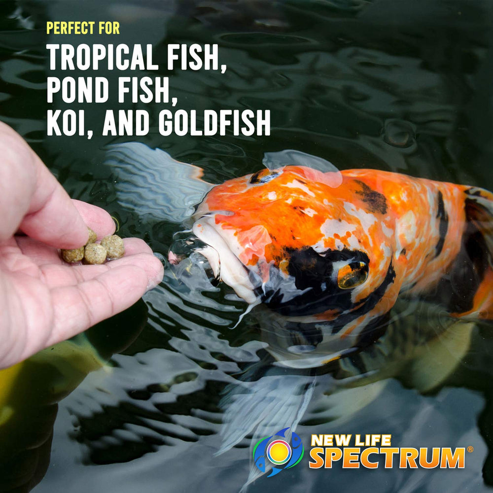 New Life Spectrum AlgaeMax Regular 150 g: colores vibrantes en peces gracias a la mezcla de algas
