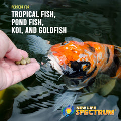 New Life Spectrum AlgaeMax Regular 150 g: colores vibrantes en peces gracias a la mezcla de algas