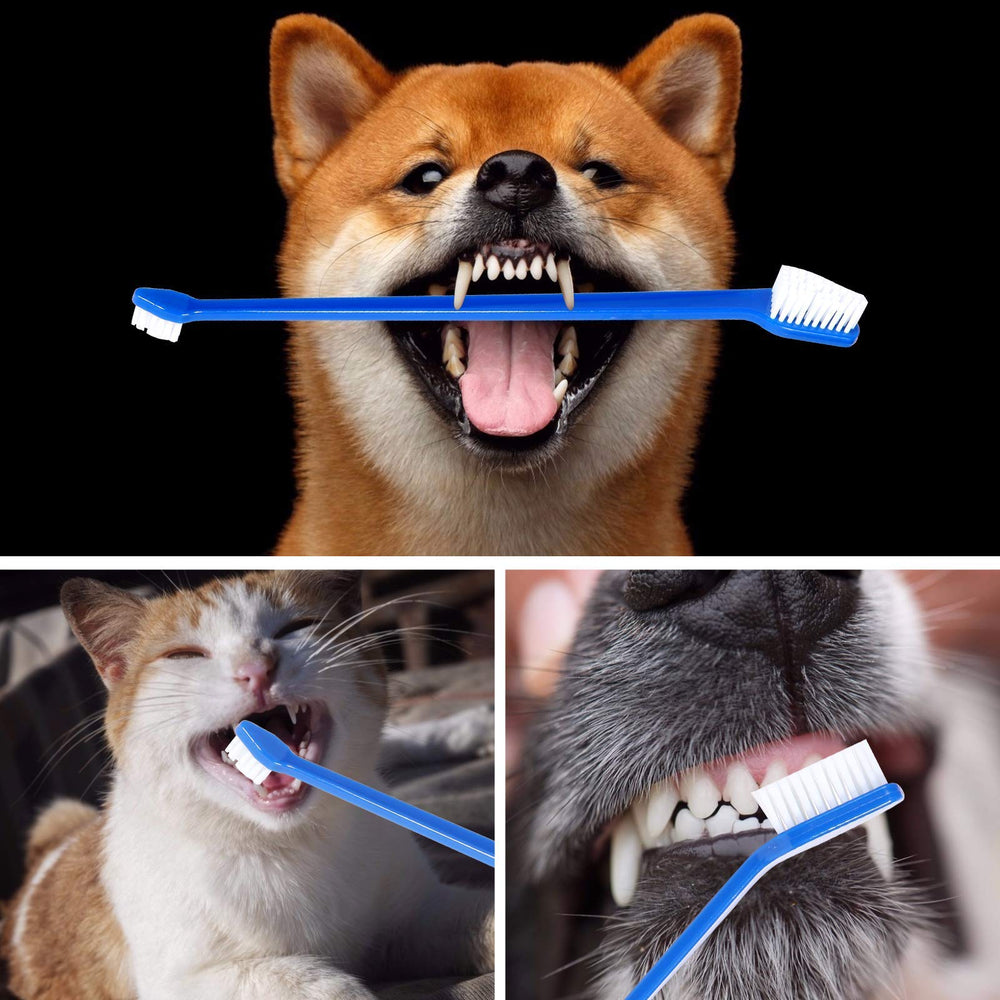 Newday cuidado bucal completo para perros y gatos