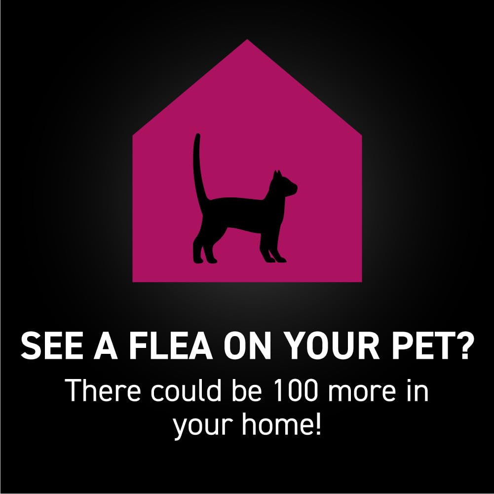 Aplicación impermeable en piel de gatos para uso diario.