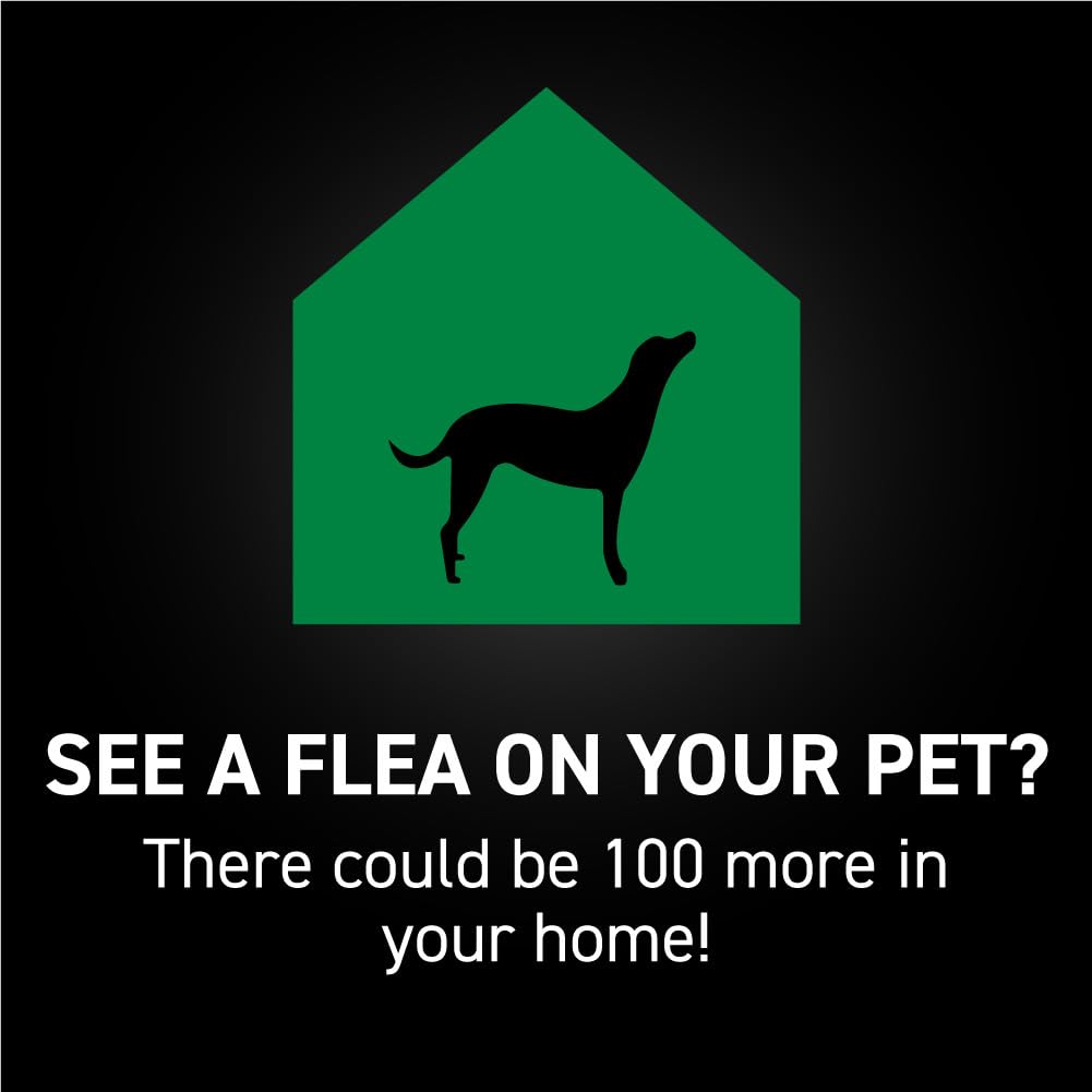 NEXTSTAR dosis mensual para perros lista para uso.