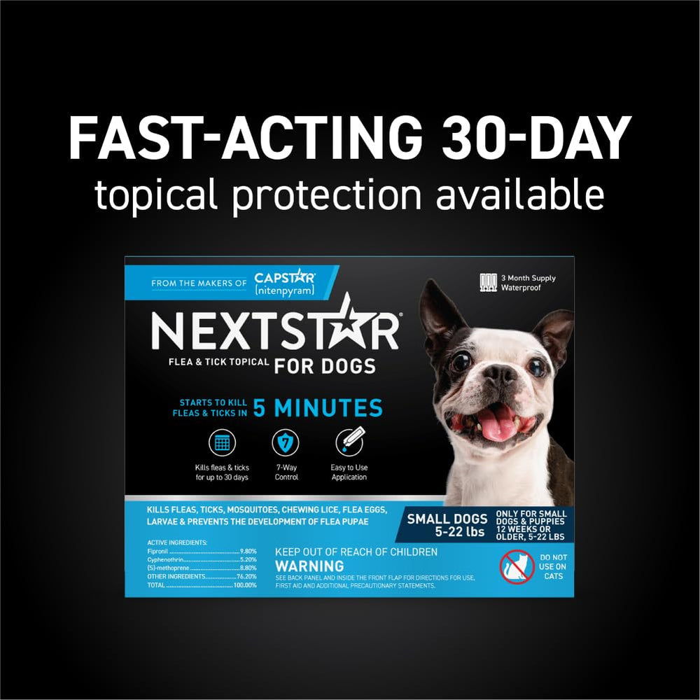 Aplicación de gotas NextSTAR para perros: protección por contacto sin mordida.