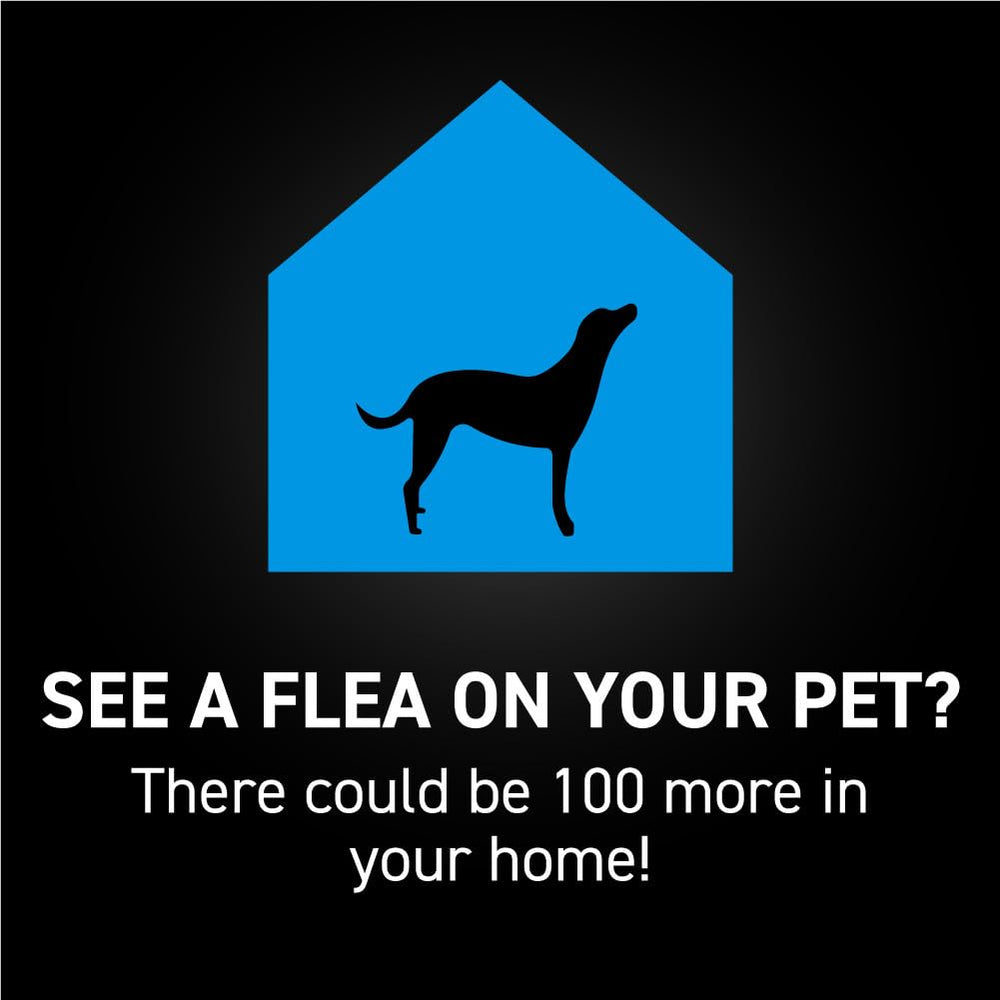 Dosis mensual única de NextSTAR para perros.