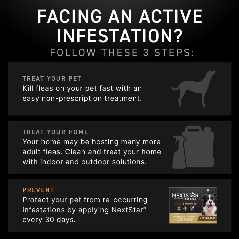 Recomendado por veterinarios: cuidado preventivo para perros sin receta.