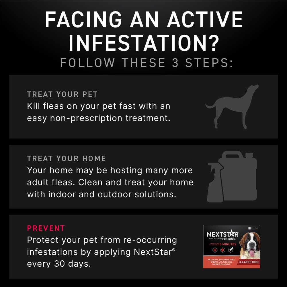 NEXTSTAR ofrece protección mensual para perros, cuidado continuo y práctico.