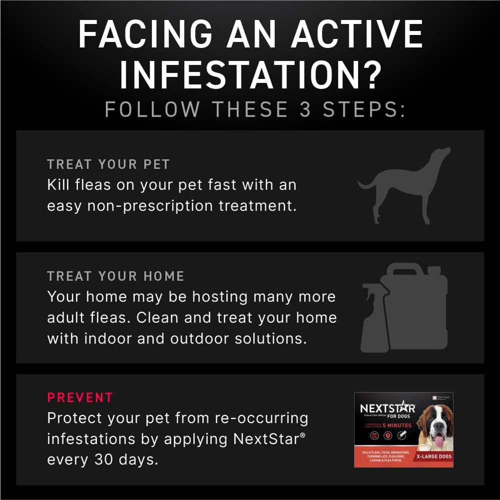 NEXTSTAR ofrece protección mensual para perros, cuidado continuo y práctico.