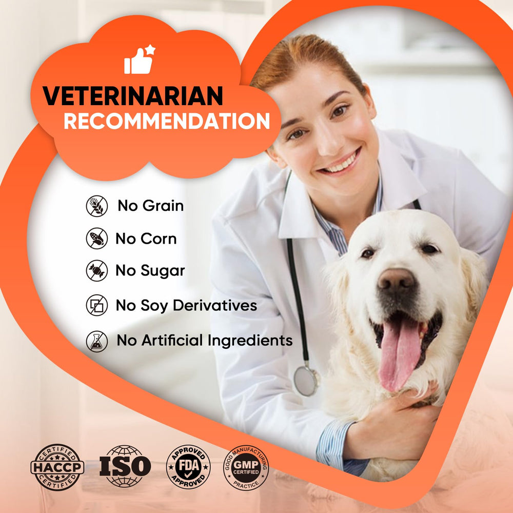 NHWHDJH consulta veterinaria: perro calmado con masticables naturales