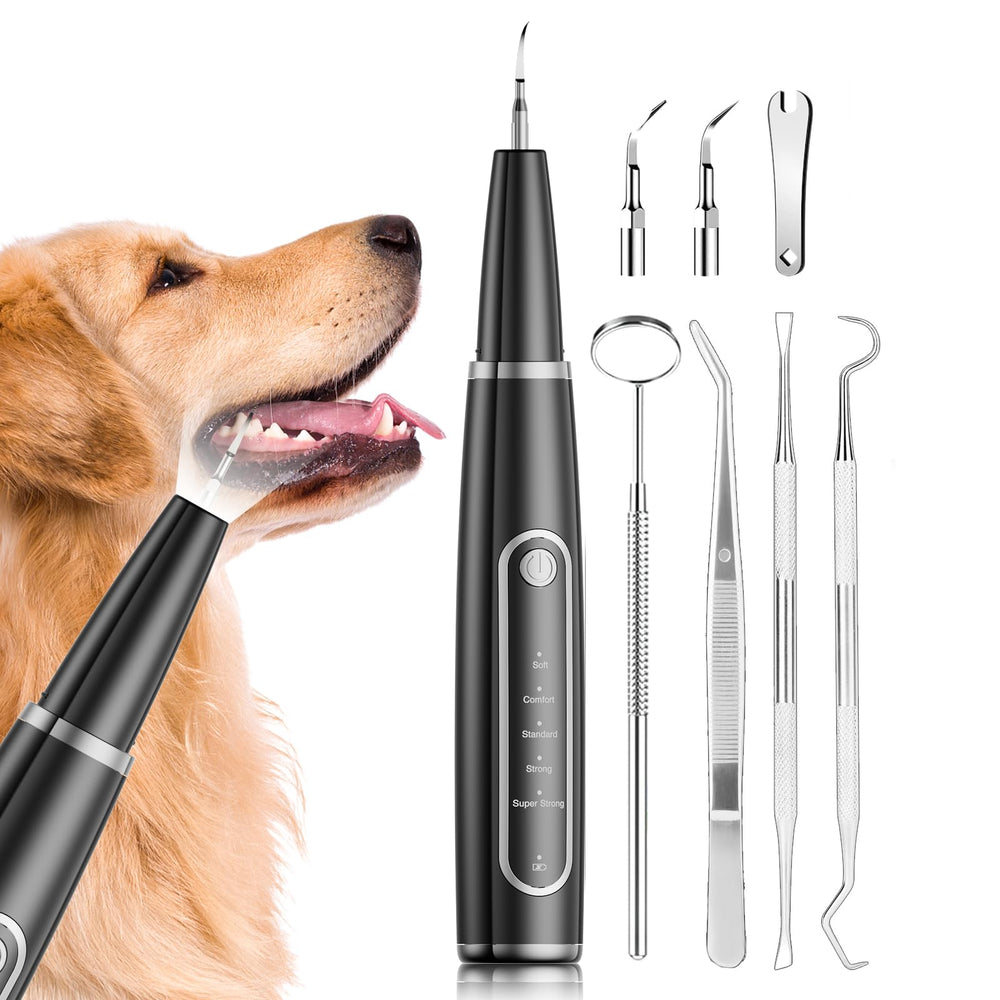 Ni-SHEN Plaque Remover Ultrasonico para mascotas, limpieza eficiente.