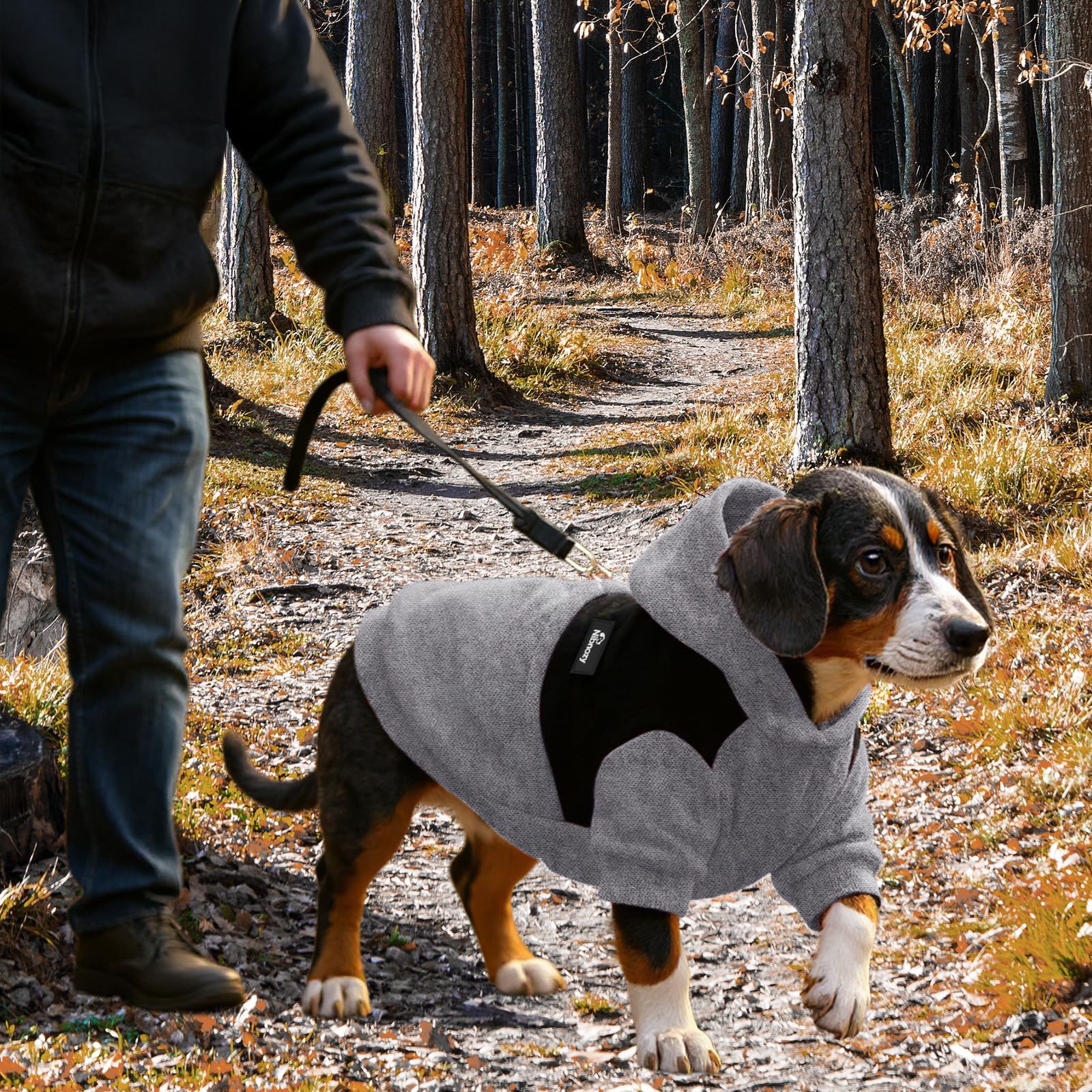 Tejido suave nibnozy, comodidad duradera para perros pequeños y medianos.