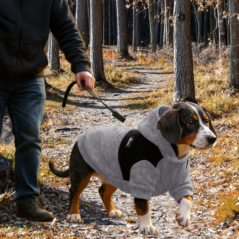 Tejido suave nibnozy, comodidad duradera para perros pequeños y medianos.