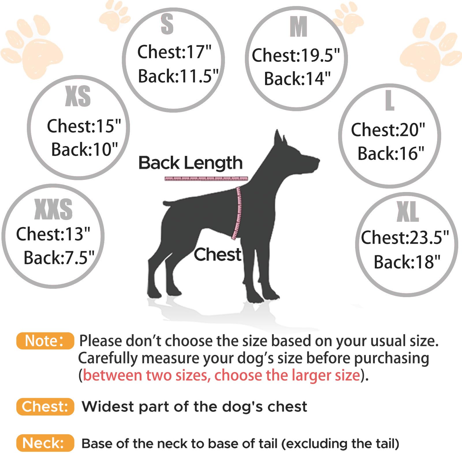 Vista trasera de la sudadera nibnozy para perro, diseño que destaca en senderos.