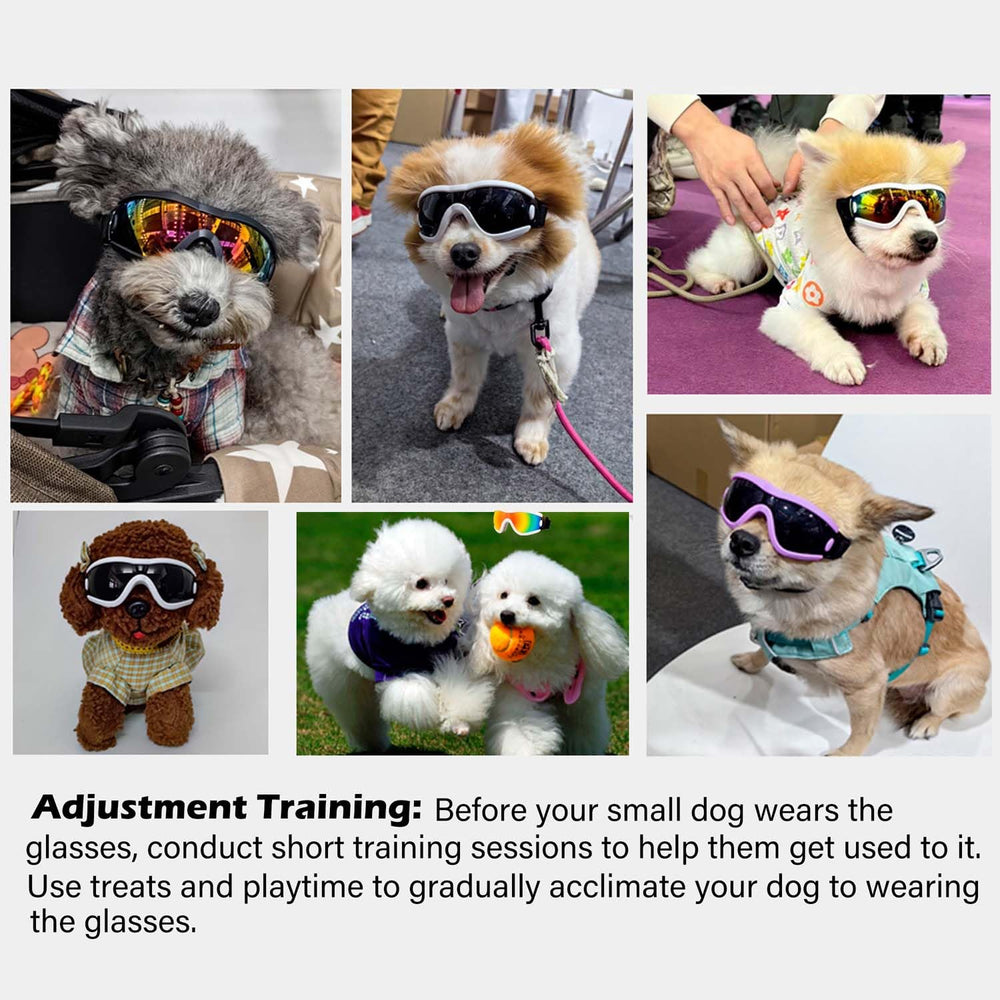 Nicerinc Pet Doggles: diseño ergonómico para uso diario