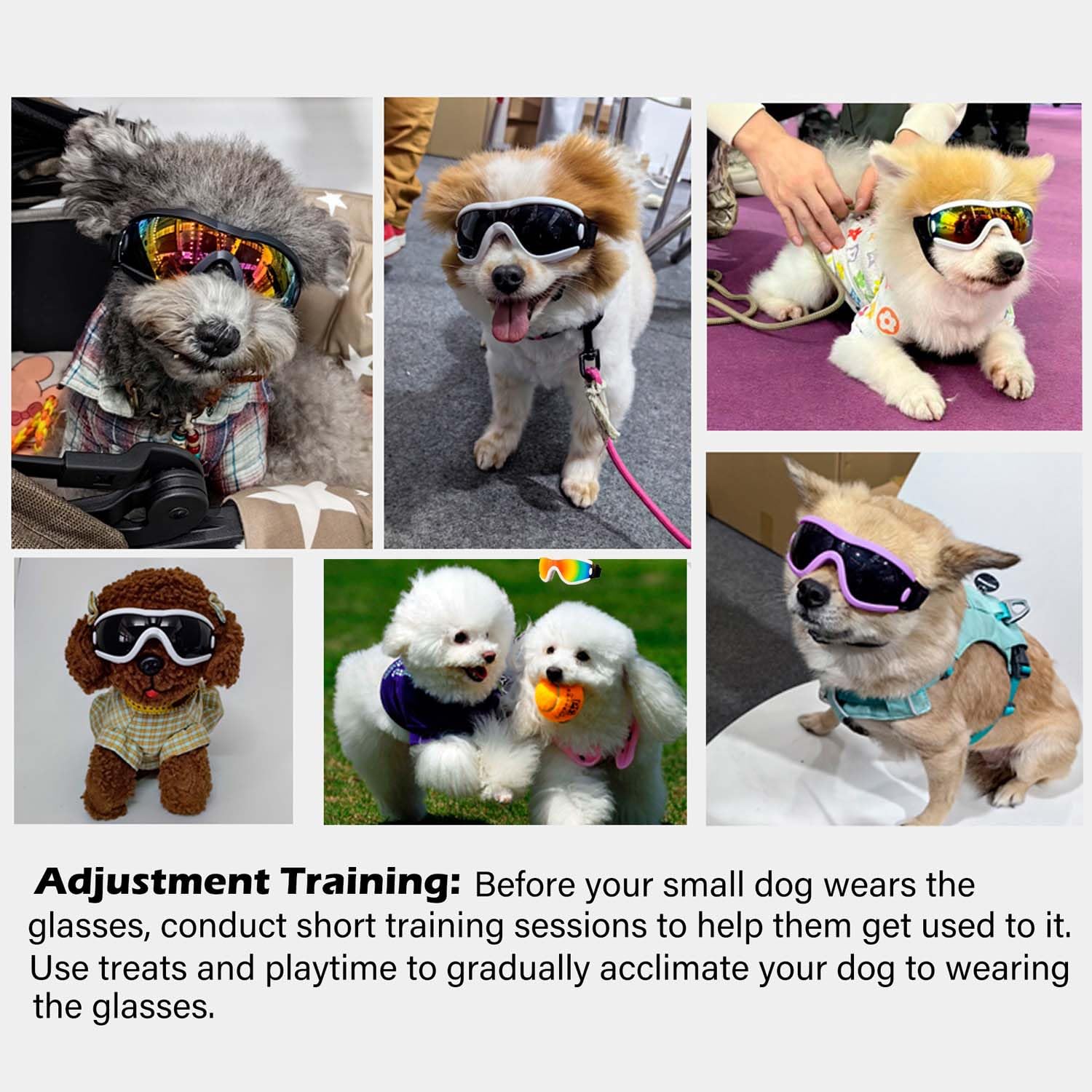 Empaque elegante NICERINC PET, ideal para regalo de perro.