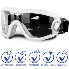Gafas NICERINC PET con protección UV para perros activos durante paseos.