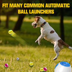 Paquete de 12 pelotas HOCTRAKA para perros pequeños, ideal para sesiones de juego.