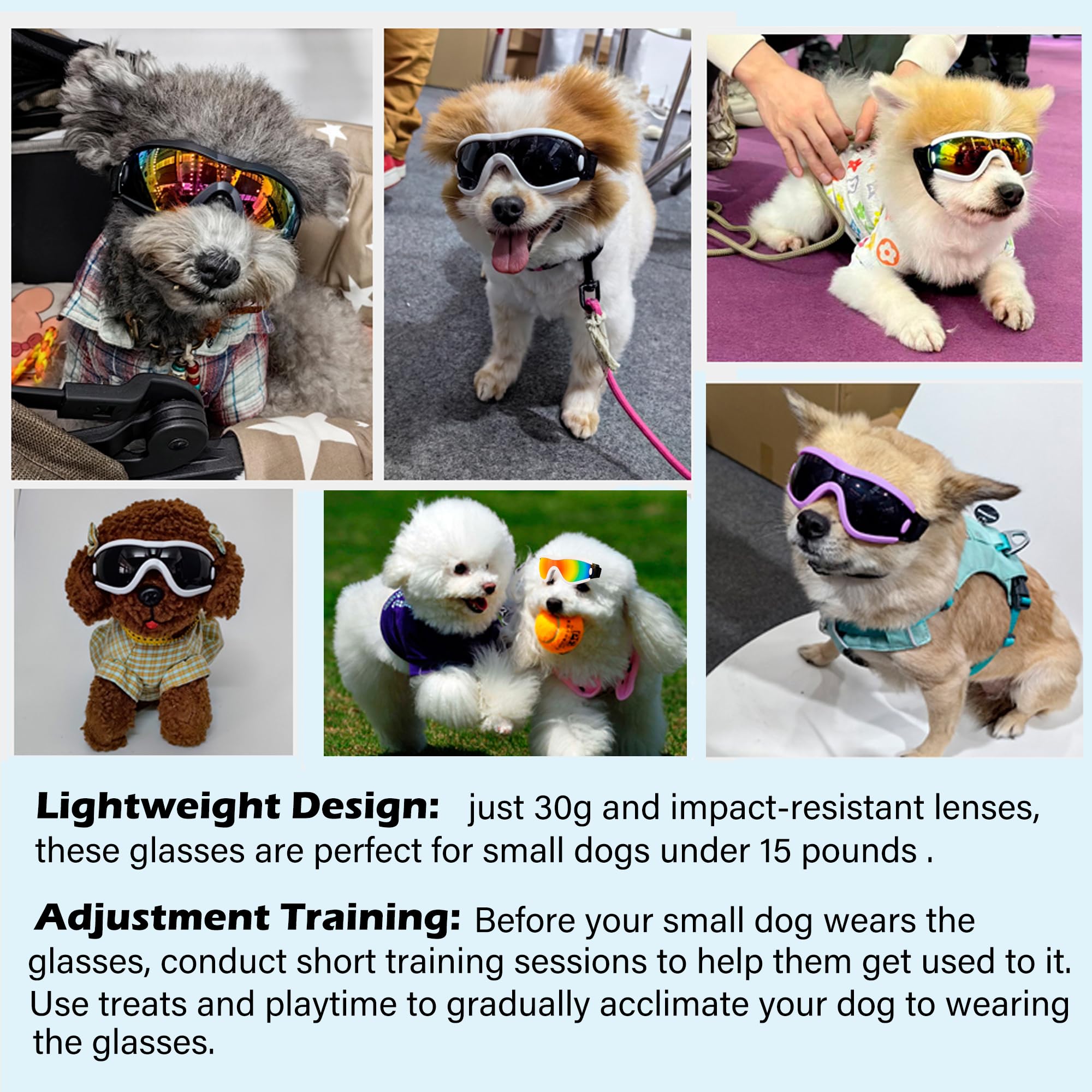 Protección ocular para paseos veraniegos con NICERINC PET.