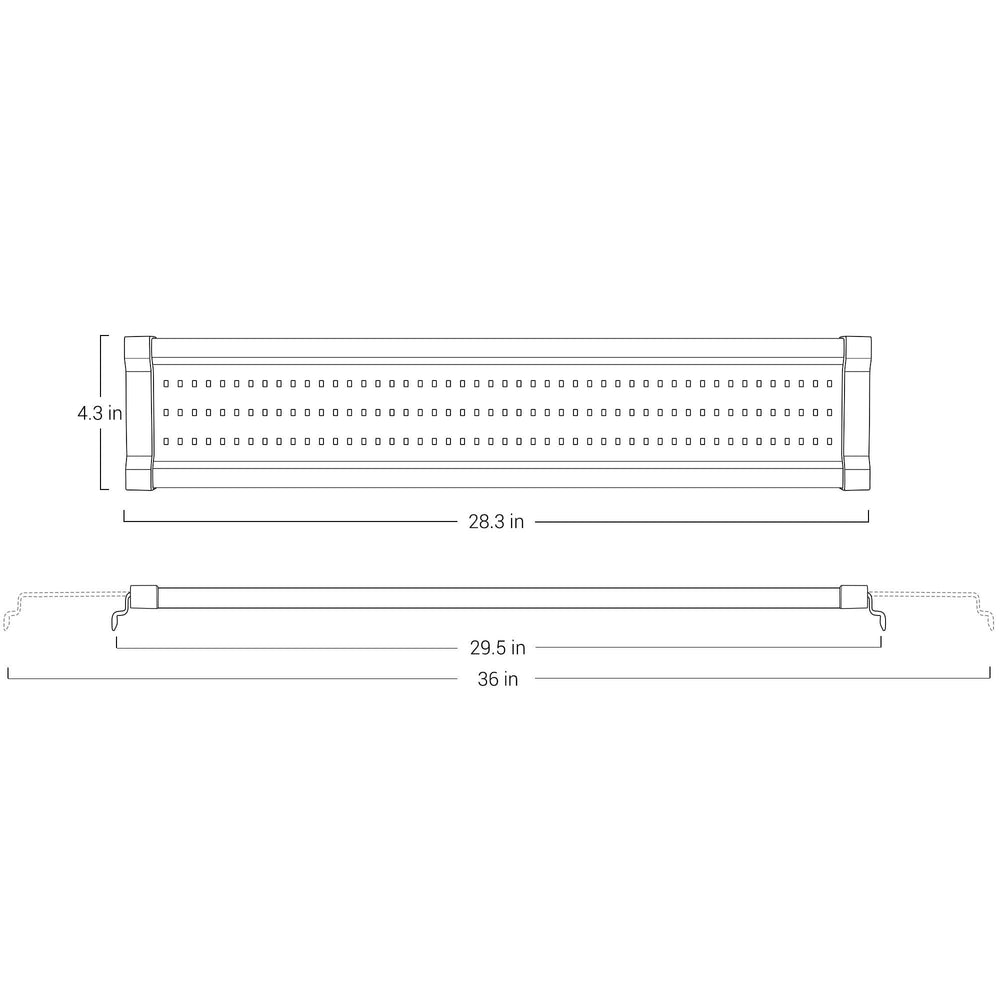 NICREW ClassicLED Gen 2: acuario de 30–36 pulgadas con iluminación adecuada.