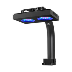 NICREW HyperReef 100 Gen 2 con lente de ángulo amplio para cobertura uniforme