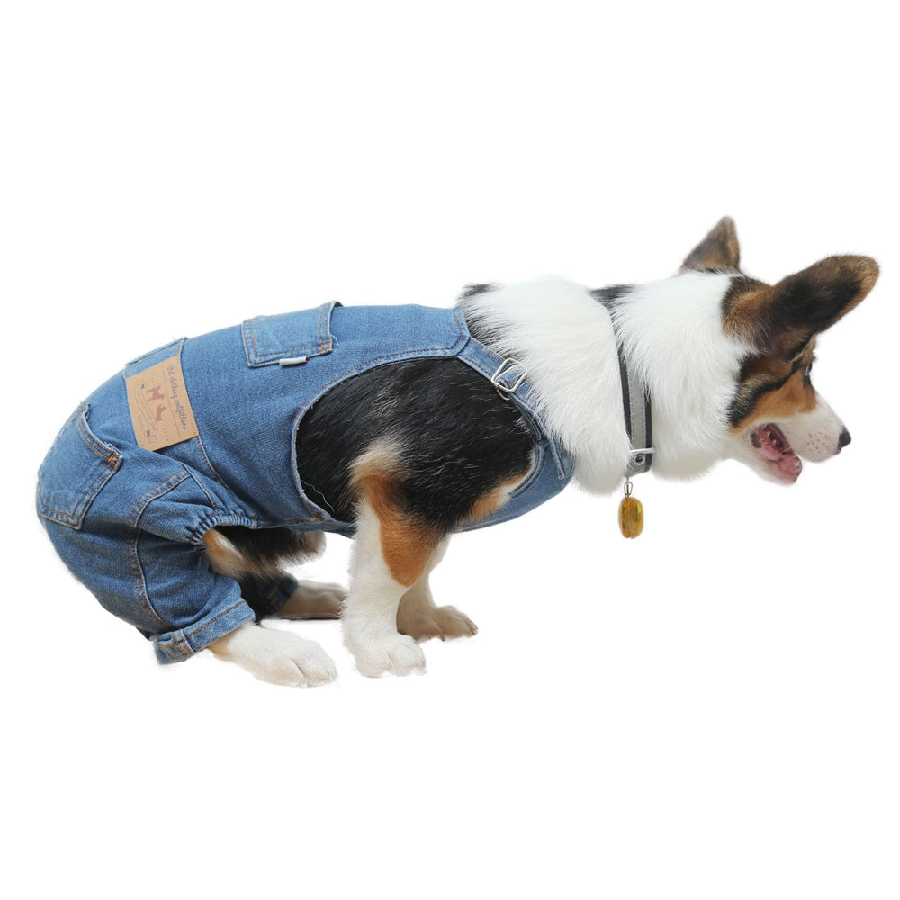 Nigua detalle costuras tela vaquera perro, acabado duradero y moderno