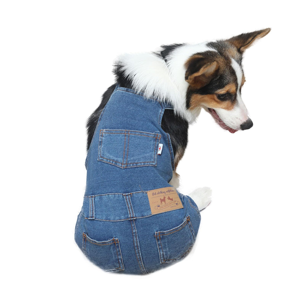 Nigua mono vaquero para perro, frente, look clásico y cómodo para paseos