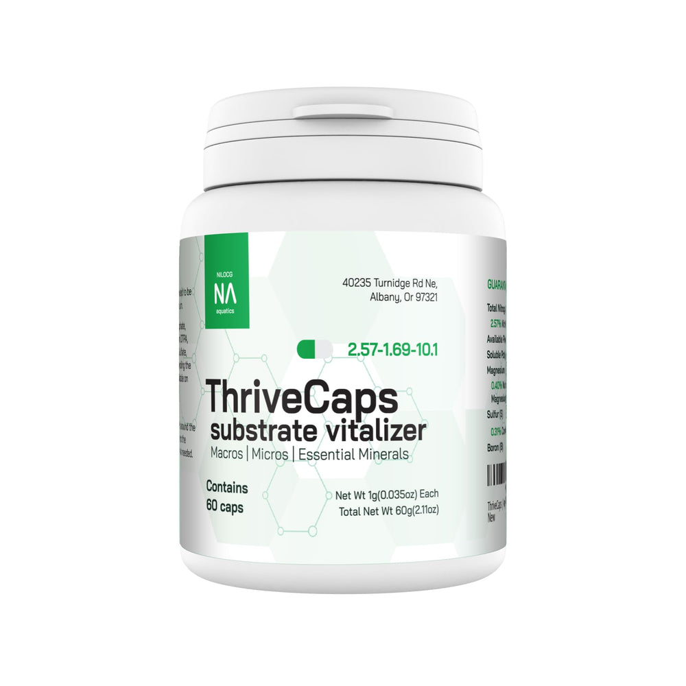 NilocG ThriveCaps dispuestos en la rejilla nutren raíces de forma uniforme.
