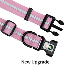 Collar NIMBLE material duradero, resistente a roces diario.