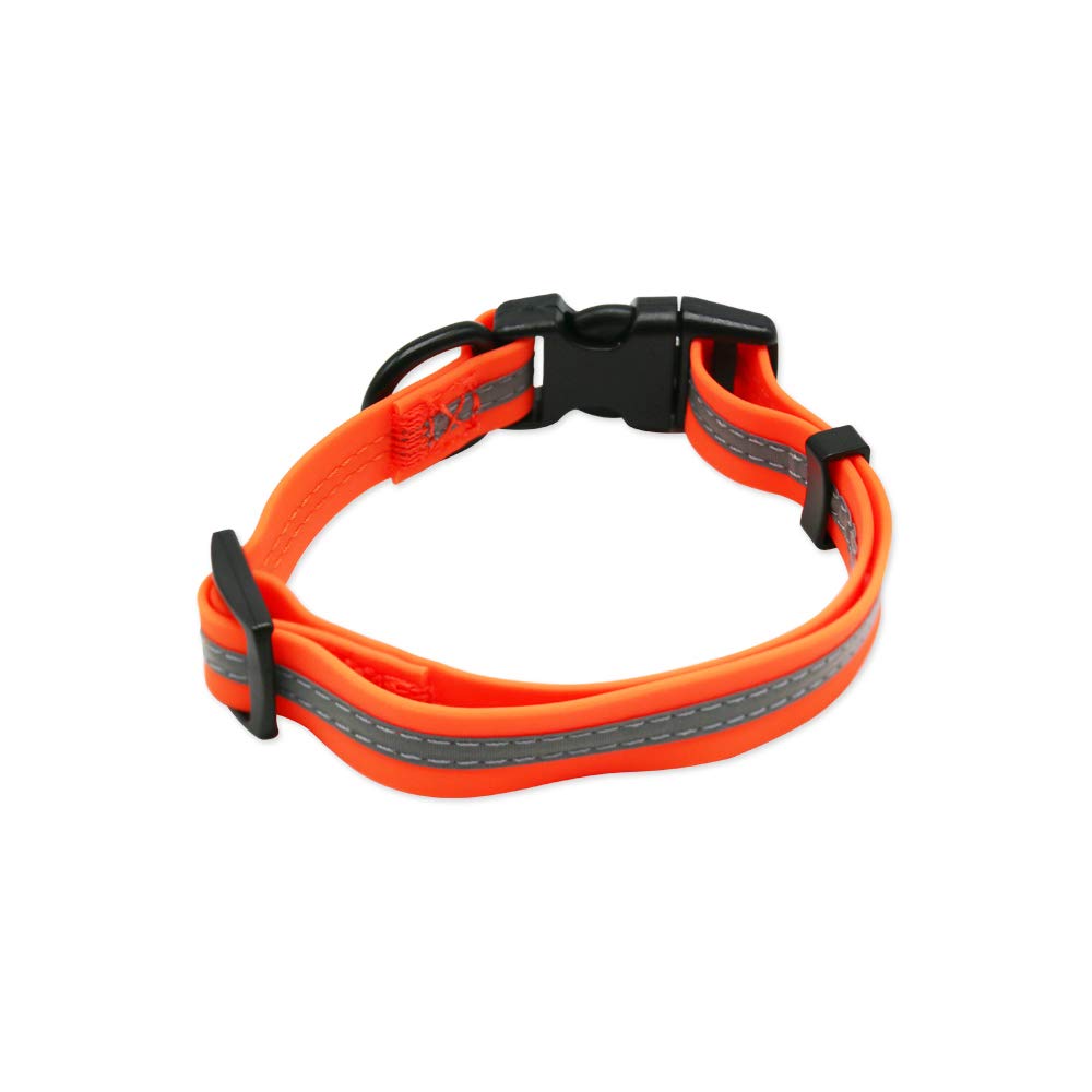 Collar duradero de NIMBLE para perros activos, ideal para aventuras diarias