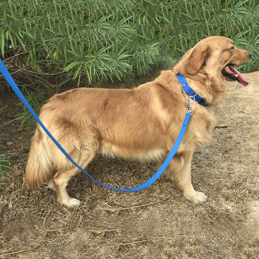 NIMBLE correa exterior para aventuras caninas al aire libre
