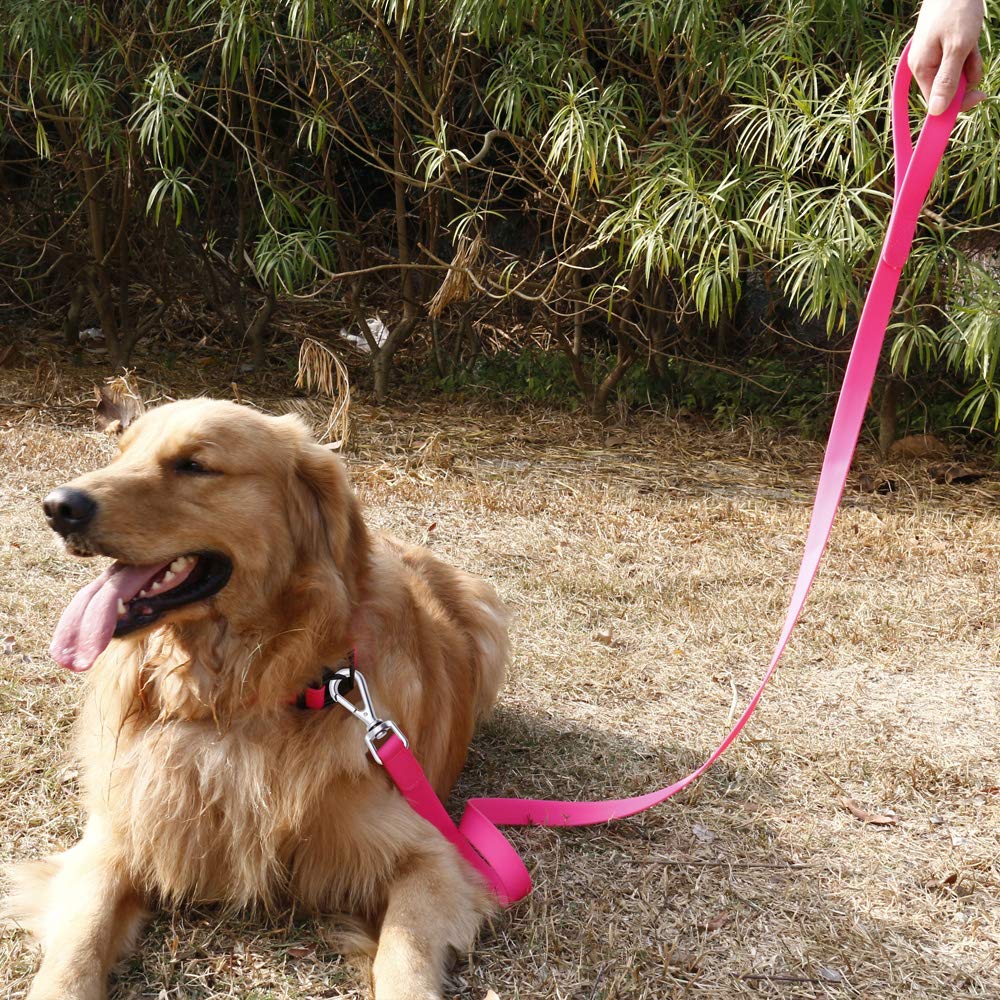 NIMBLE correa para perro, exterior y ligera, rosa, ideal para exploraciones al aire libre.